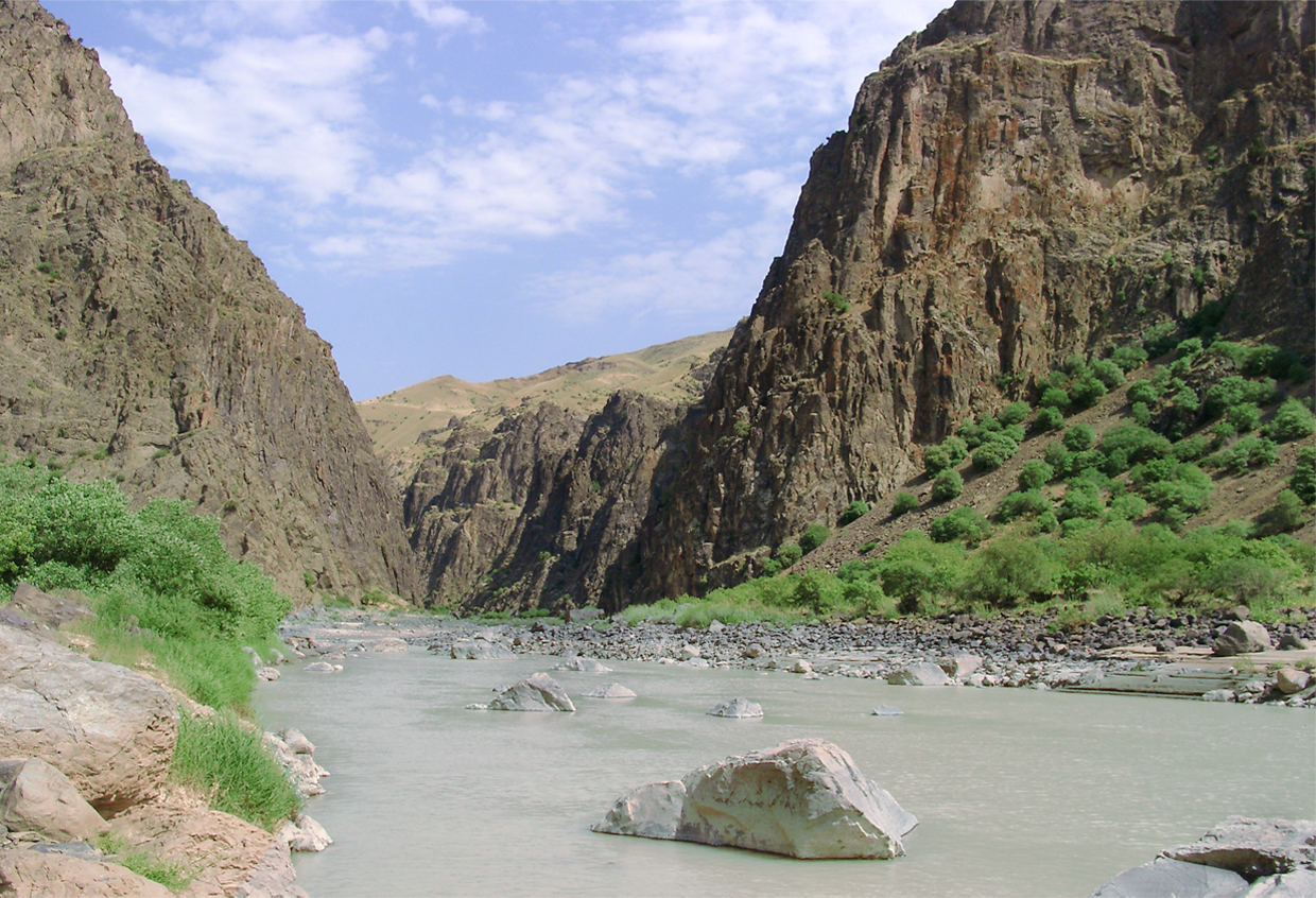 Pirtaghi Dam and Hydropower Plants Environmental Studies